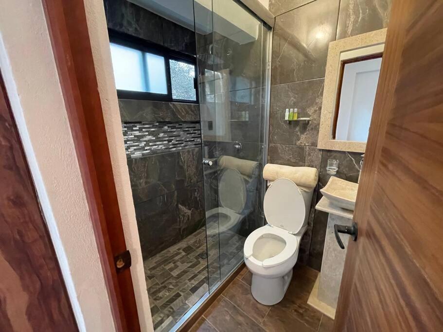 Suites C O V A D O N G A Мексико Сити Стая снимка